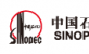中國石油化工集團公司